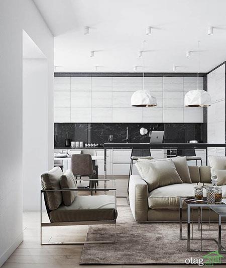 مدل رنگ کابینت خاکستری و سفید مشکی مناسب آشپزخانه های مدرن