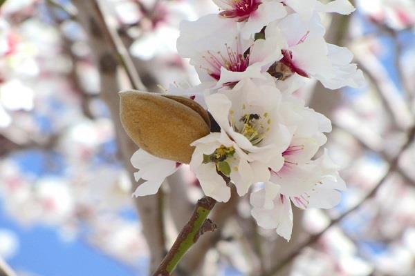 حقایقی درباره مواد شیمیایی که می خوریم