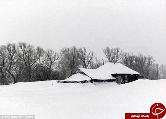 سگی که جان بچه‌ای را نجات داد +تصاویر