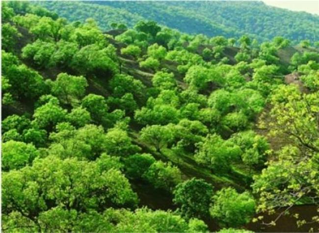 تأثیر شگرف آثار هنرمندان بر رفتارهای محیط زیستی تأثیر شگرف آثار هنرمندان بر رفتارهای محیط زیستی
