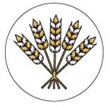 virgo