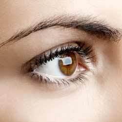 تضمین سلامت چشم با این مواد غذایی