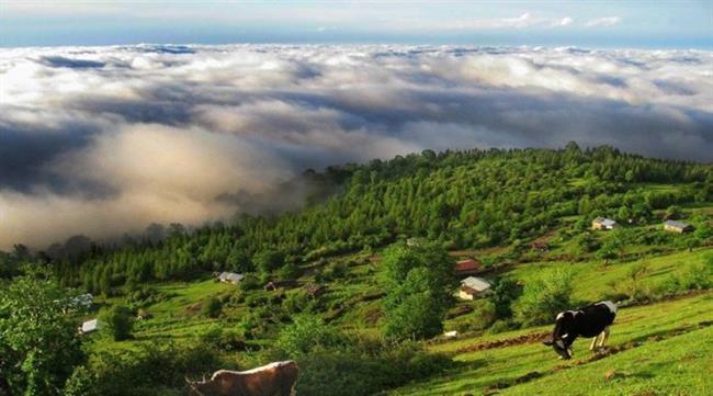 راهنمای مختصر و مفید سفر به کلاردشت