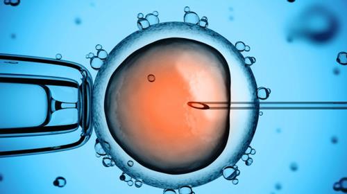 بچه دار شدن با IVF و همه هزینه ها و دردسرهایش