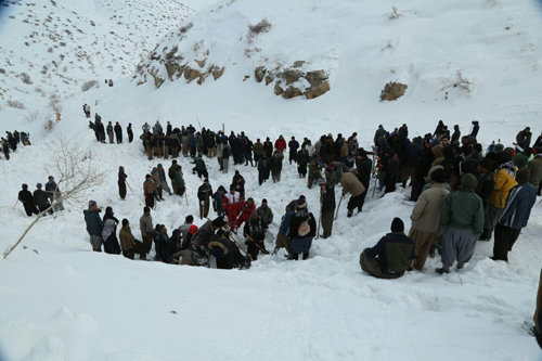 کولبری، جدال جان و نان