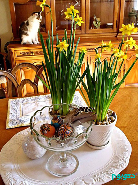 ایده های جالب انگیز و دعوت فصل طراوت به خانه