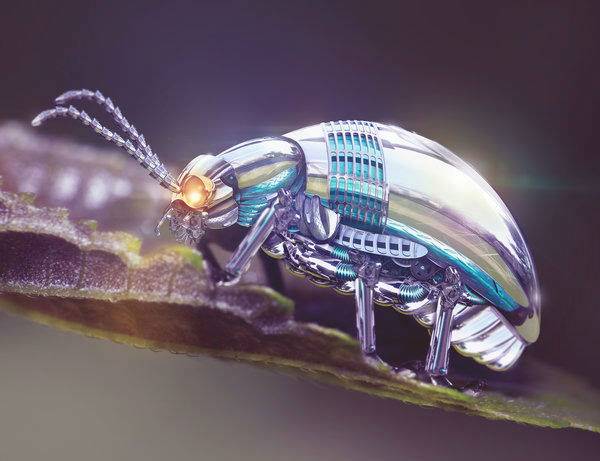 Robotic-Beetle-w700