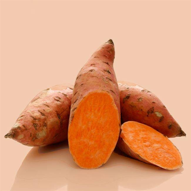 شکم بدون چربی