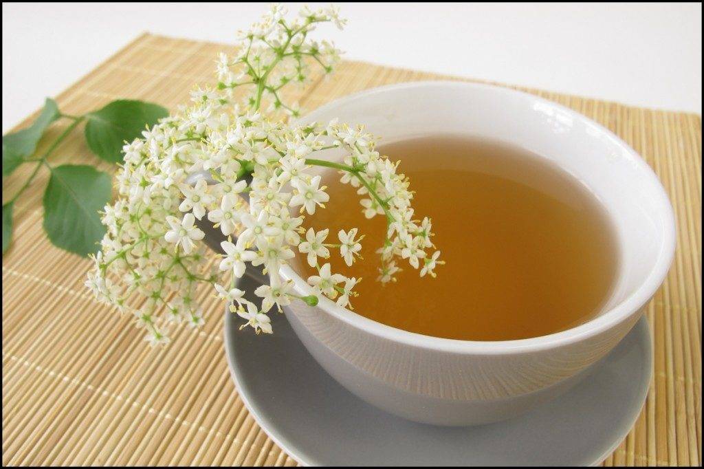 آیا «چای سفید» مانع از شکل گیری سلول های چربی در بدن می شود؟