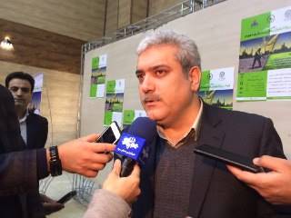 ستاری: دانش بنیان ها ساختارهای سنتی بدون راندمان را می شکنند
