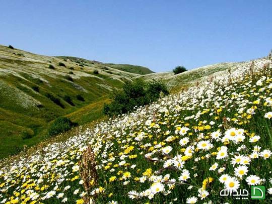 7 بهشت دیدنی در ایران برای سفرهای اردیبهشتی