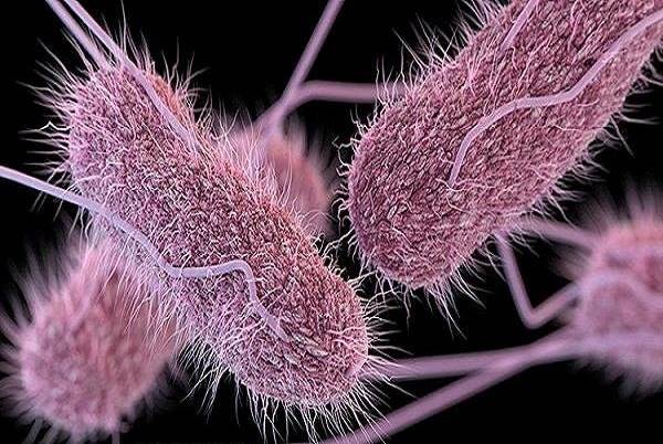 مسمومیت غذایی به DNA آسیب می رساند