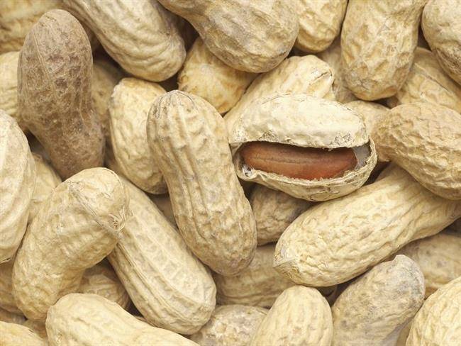 بادام زمینی را جدی بگیرید