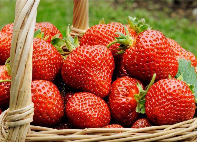 بهترین غذاهای ضد چین و چروک را بشناسید