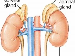 بیماری خستگی آدرنال را بشناسیم