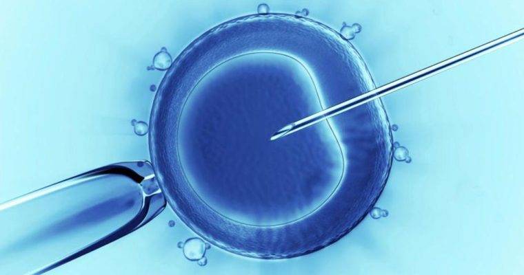 تغییرات مثبت روی روش IVF