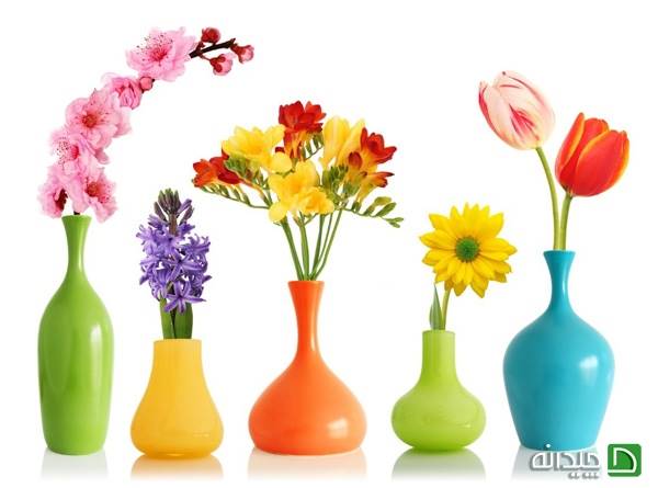 گلدانی‌های تزئینی که خانه ‌را افسانه‌ای می‌کنند