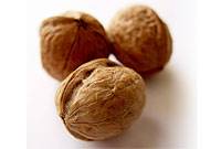خواص و کاربرد گردو