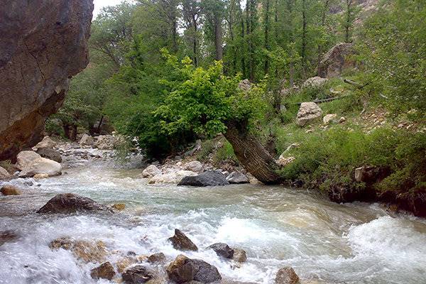 ماجرای یک رودخانه که جان می‌گیرد