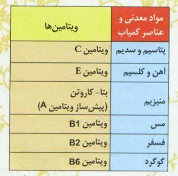 طراوت و نشاط با سرکه سیب