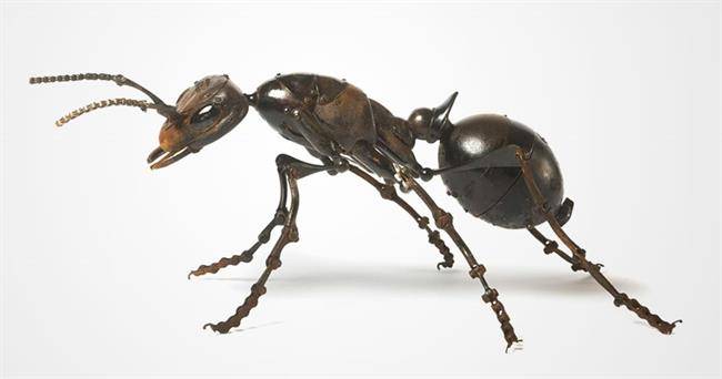 insect-sculptures-edouard-martinet-14.jpg