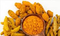 خواص دارویی گیاه زردچوبه