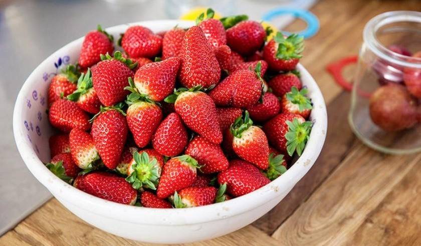 همه چیز در مورد توت فرنگی