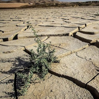 تنگنای آب