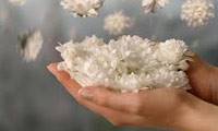 راه کارهای کسبِ خوشبختی