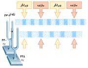 علت پدیده ضربان قلب 