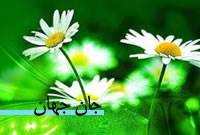 جان جهان