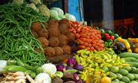 ملاقات با میوه فروش سالخورده