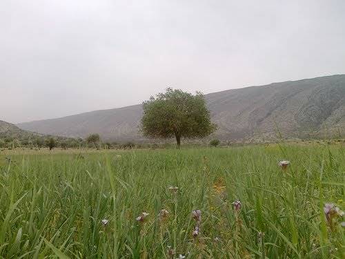 روستای تاریخی بهجان 