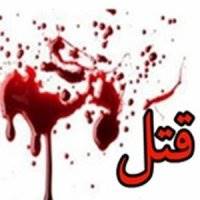 قتل دختر دشتستانی با شلیک گلوله/ اعتراف قاتلان به قتل با انگیزه خانوادگی