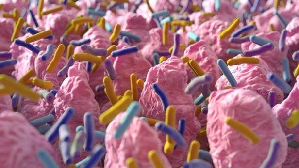 99 درصد از میکروب‌های بدن انسان هنوز ناشناخته‌اند!