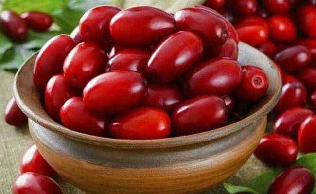خطری که در ذغال اخته مخفی شده است