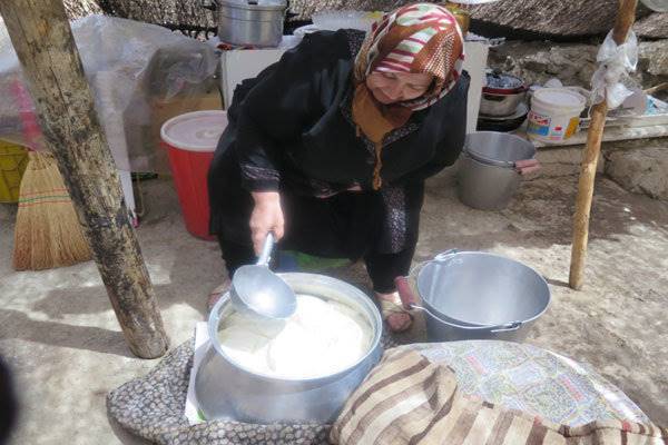 نقش اقتصادی زنان عشایر در ایل سنگسر بررسی شد