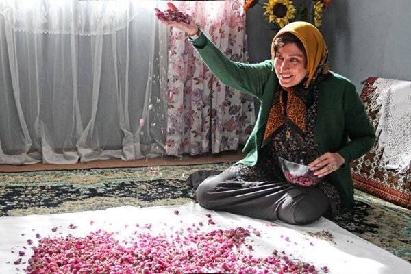 بسته فرهنگی میزان بسته فرهنگی میزان