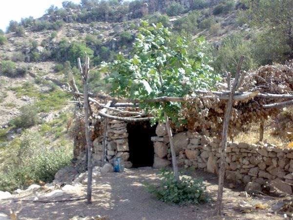 روستای دیل 