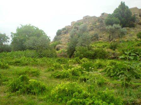 روستای گلویج