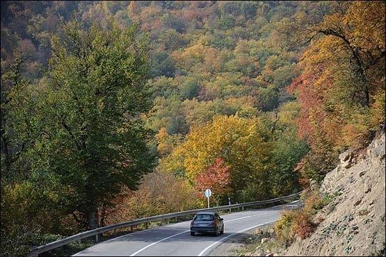 جنگل توسکستان