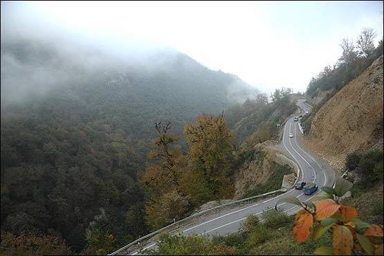 جنگل توسکستان