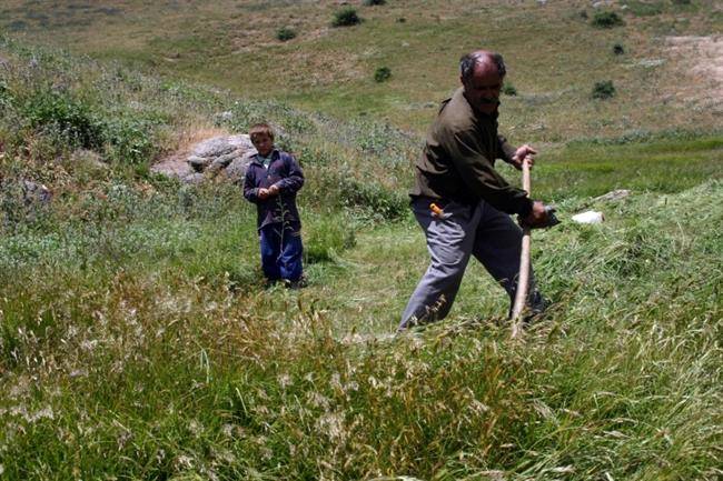 روستای لمبر روستای لمبر