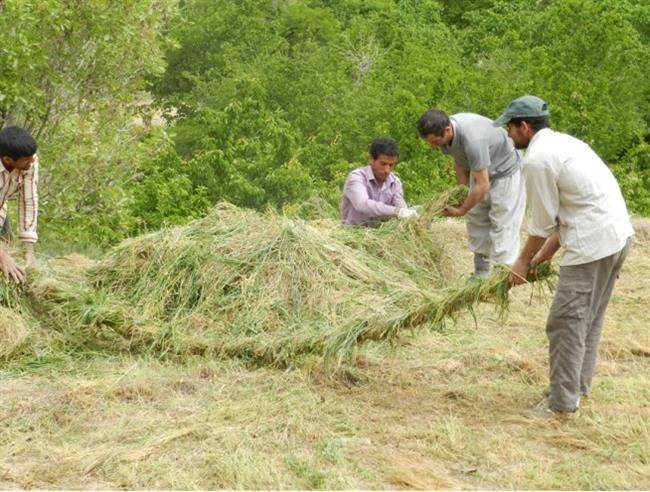 روستای نیگنان