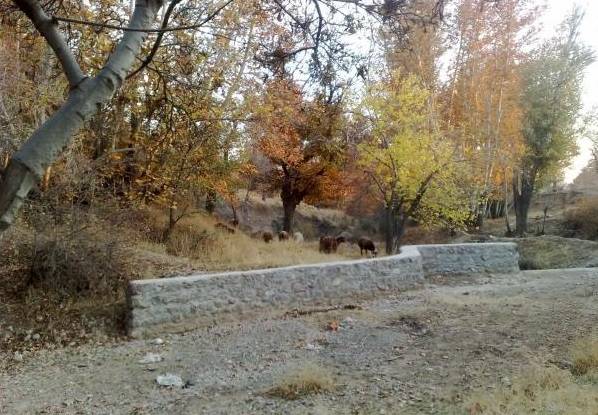 روستای خوروین