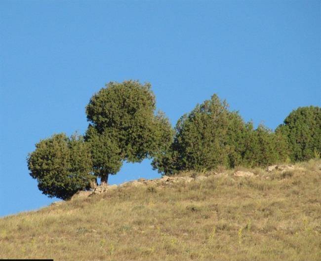 روستای تبارک