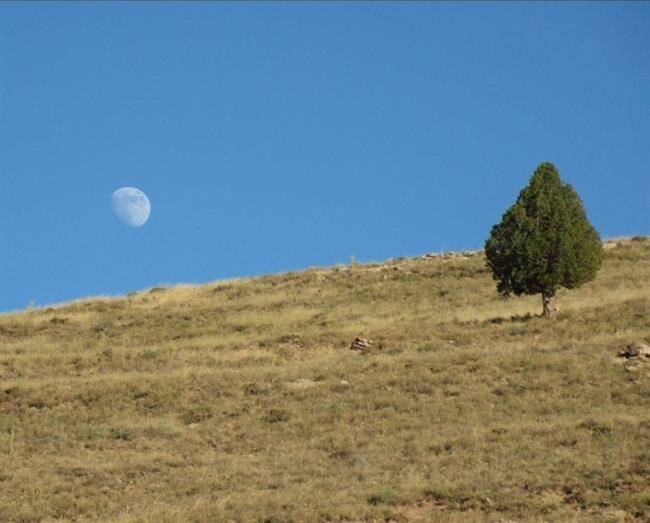 روستای تبارک