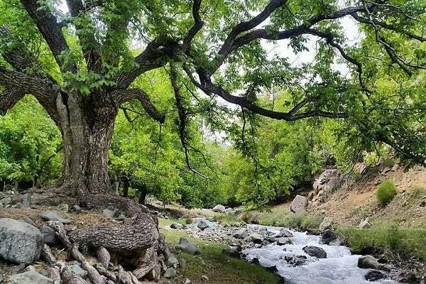 بررسی ظرفیت‌های گردشگری فردوس با حضور اعضای کمیسیون اصل 90 مجلس