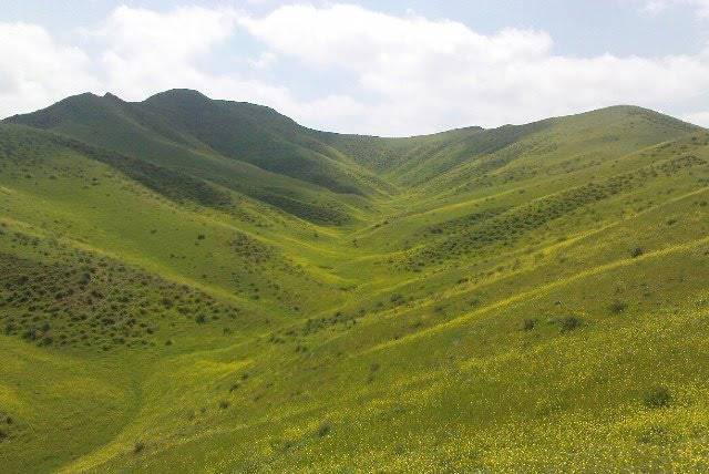 منطقه حفاظت شده مغان