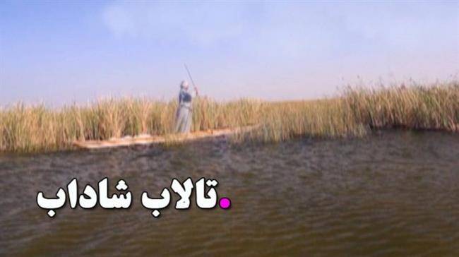 تالاب شاداب